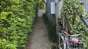 Property grounds - Quaint & Cosy 1 Bedroom Apartment in Queenslander. (Annerley)