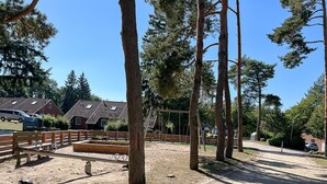 A fenced outdoor area with benches, trees, and a playground.