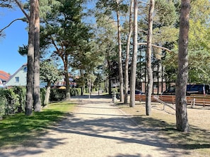 A pathway lined with trees leading to a building with a red roof.