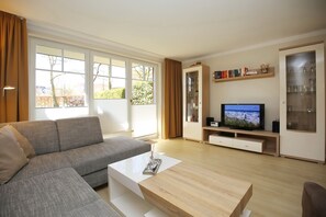 Fernseher, DVD-Player, Stereoanlage