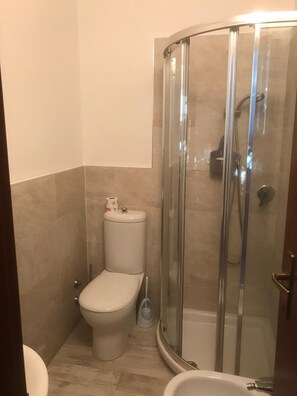 Shower, hair dryer, bidet, towels