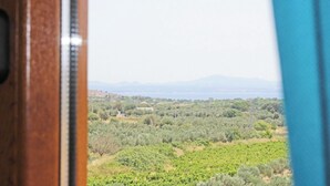 A view through a window of a vineyard landscape with distant mountains. - Bozcaada Odessa  (Bozcaada)