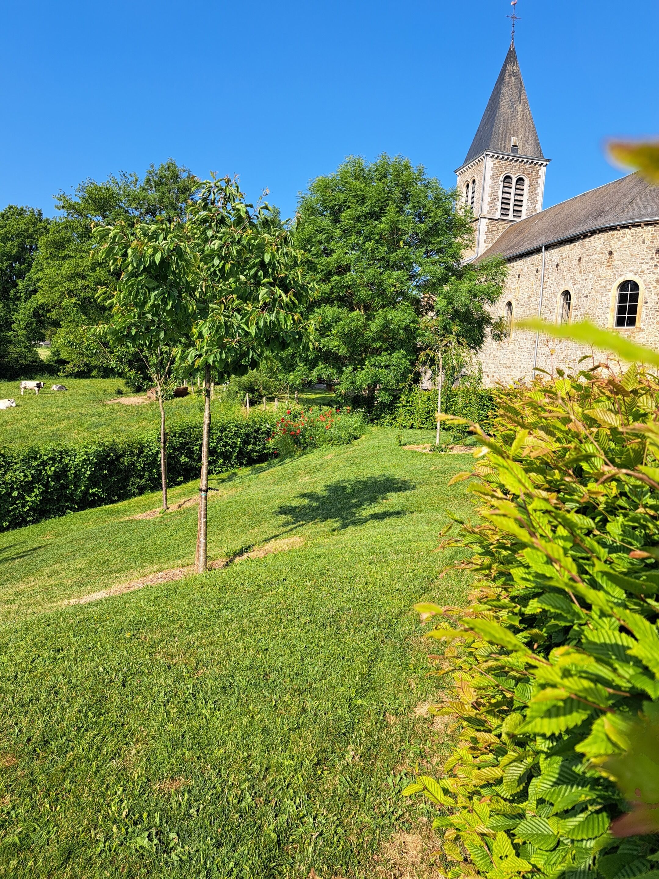 Un exuberante paisaje verde con un edificio de piedra que cuenta con una alta torre, rodeado de árboles y un césped bien cuidado.