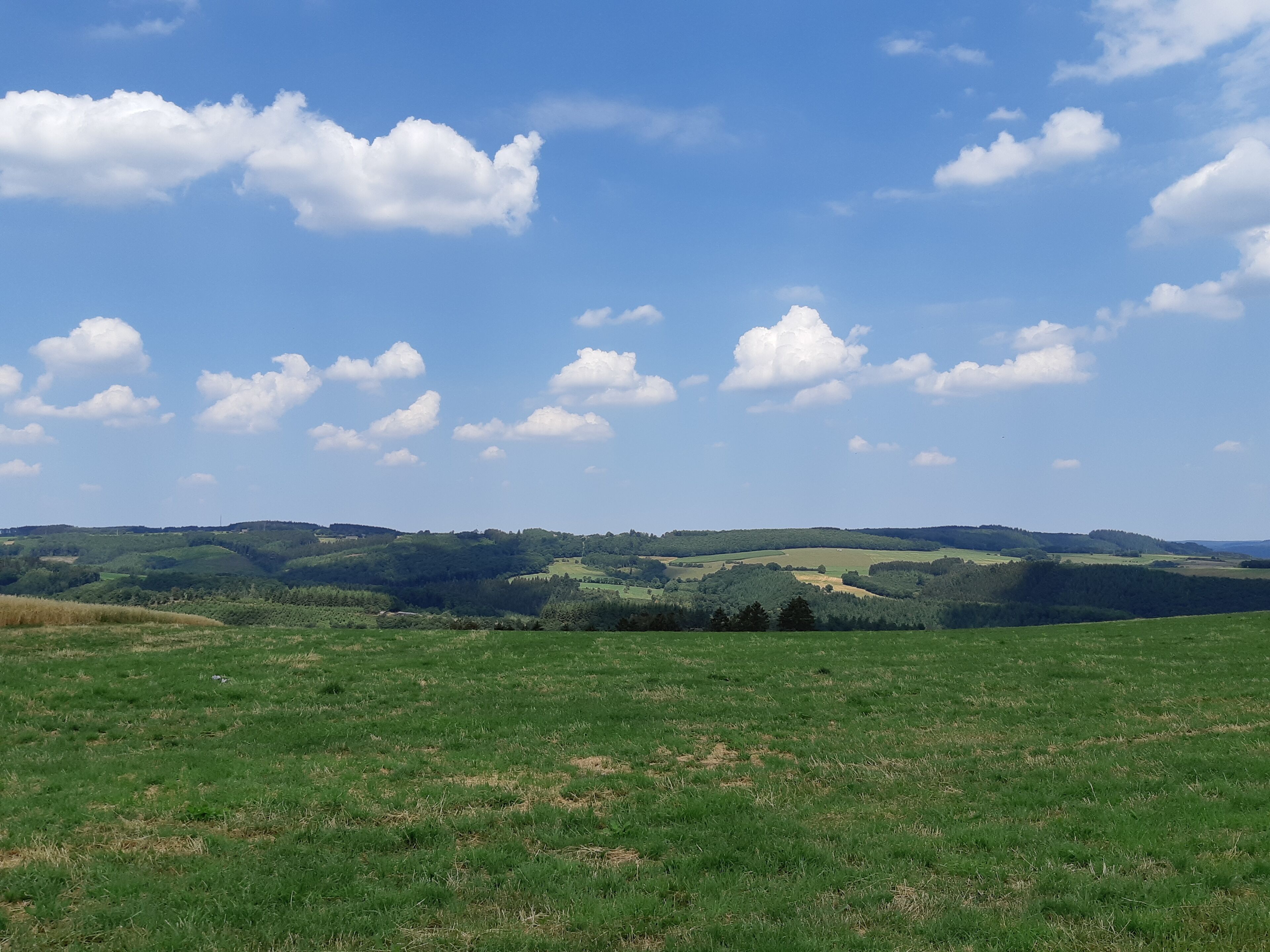 Een uitgestrekt groen veld met glooiende heuvels op de achtergrond onder een heldere blauwe lucht.