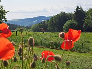 Garden - Chanteloup, Maison D'hôtes - Halleux (La Roche-en-Ardenne)