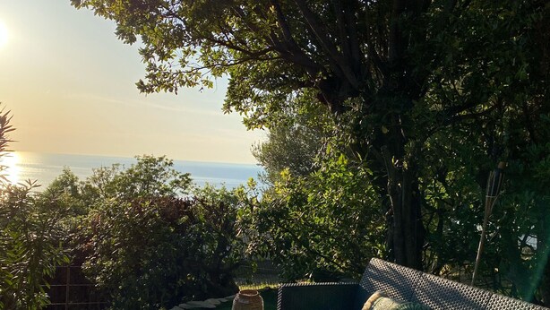 A wicker sofa with cushions, a wicker chair, and a small round table in a garden with a view of the sea.