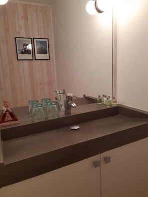 Hair dryer, towels, toilet paper - House center Bergerac with swimming pool (Bergerac)