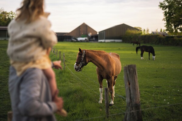 A person riding a horse in a grassy field with barns in the background.