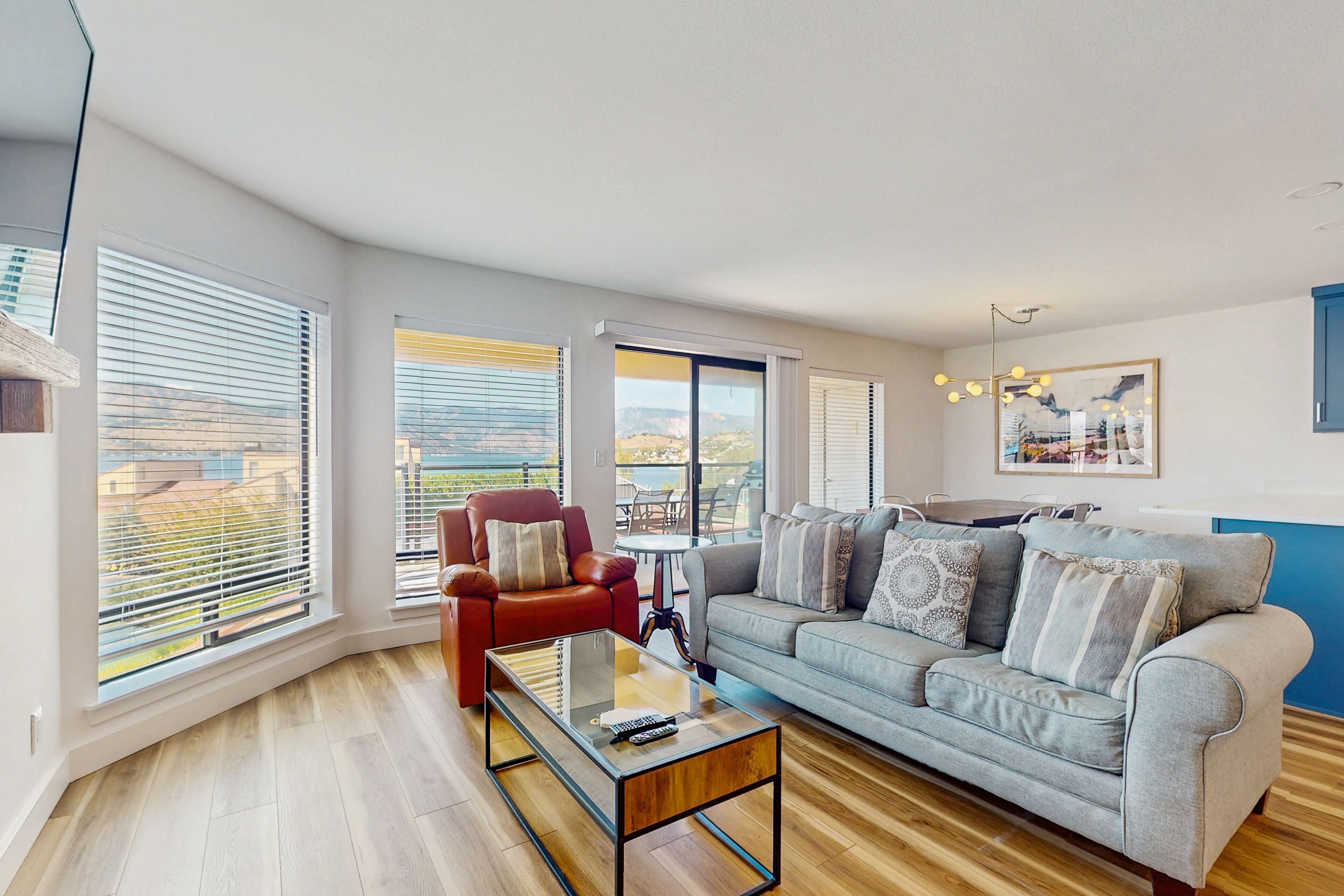 Televisio, takka, DVD-soitin, kirjoja