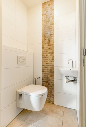 Bathroom - Group accommodation 12+3 (Valkenburg)