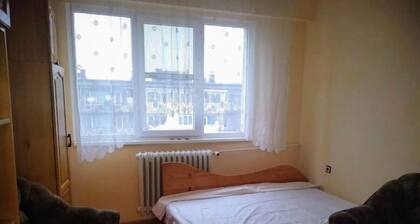 Живей Свободно,Виж София