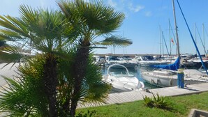 A marina with boats docked, a palm tree, and a clear sky. - Frontline modern- Cabo del Playa- Apartment (Cabo Roig)