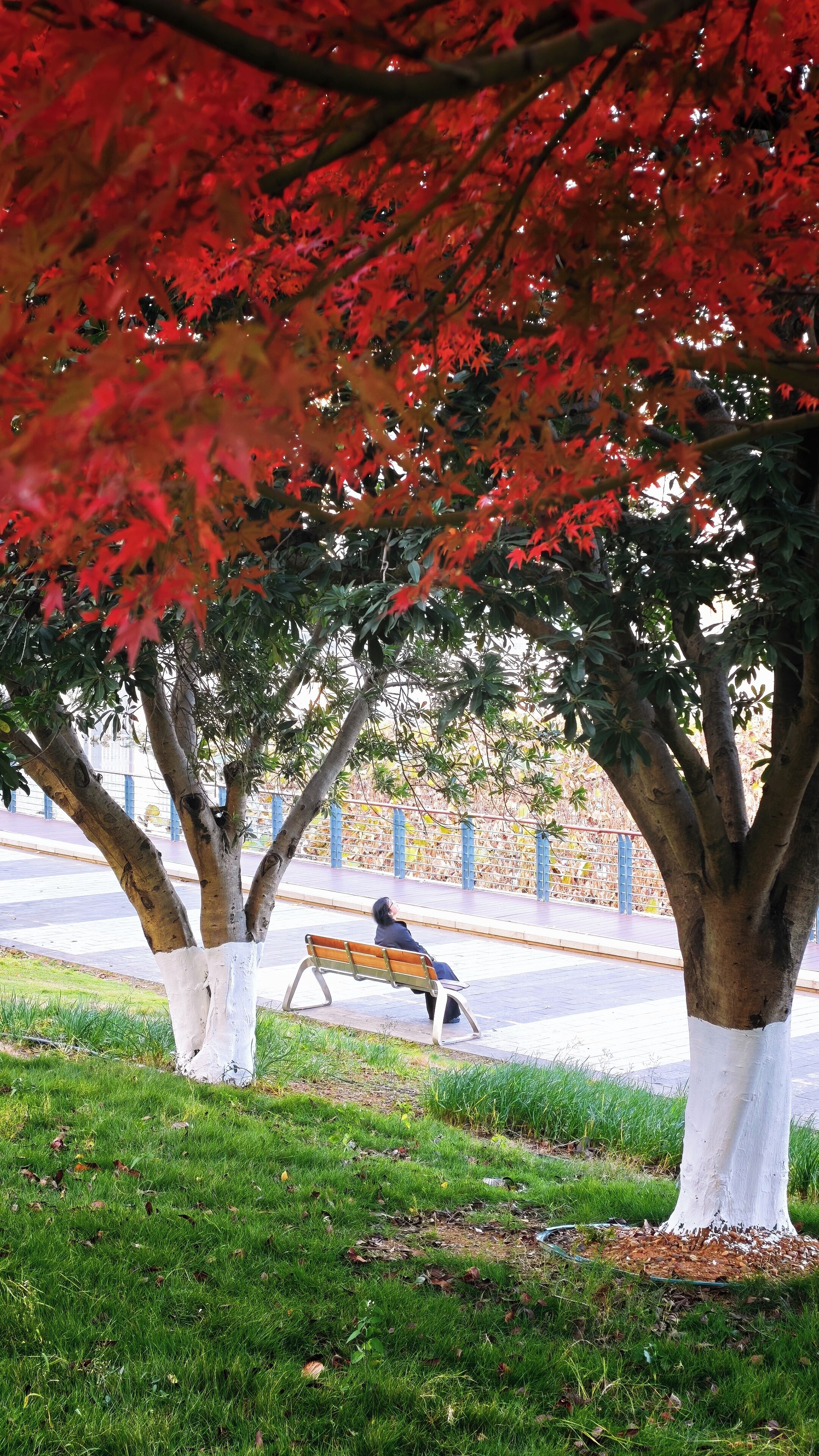 City view from property