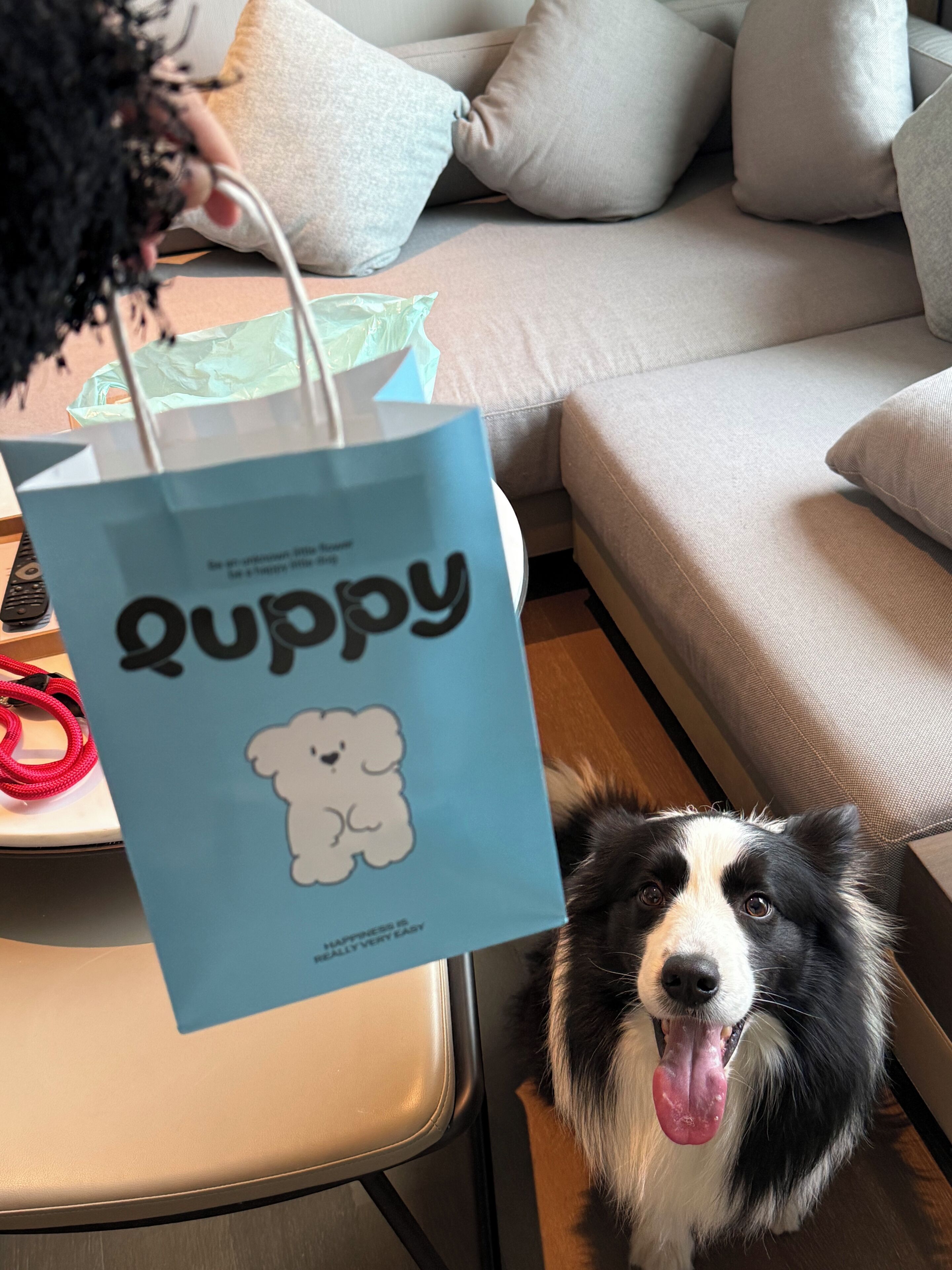 Een hond zit op een houten vloer, voor een beige bank, met een blauwe tas met de tekst 'Puppy'.