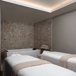 Behandelingskamers voor koppels, een sauna, een stoombad