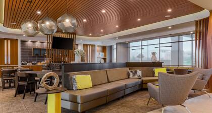 SpringHill Suites by Marriott San Jose Fremont