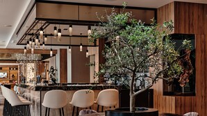 A modern restaurant with a central round table, bar seating, and a decorative tree.