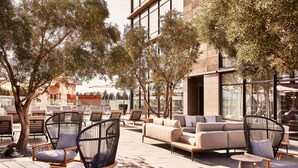 Un espacio exterior con mobiliario moderno, un ventanal grande y un árbol.