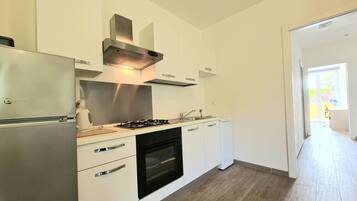 Fridge, oven, stovetop, electric kettle