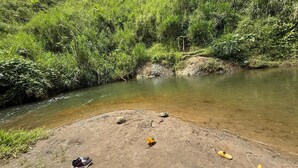 A riverbank with a sandy area, some scattered items, and dense greenery.