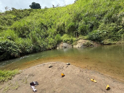 CABIN IN THE HEART OF THE COFFEE REGION, BETWEEN BANANA PLANTATIONS AND THE CRYSTALLINE RIVER.