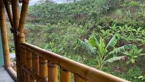 A bamboo structure with a view of banana plants and a hillside.