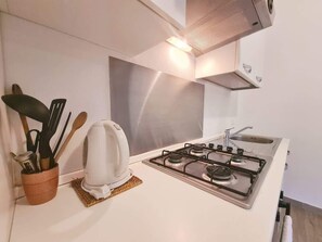 Fridge, oven, stovetop, electric kettle