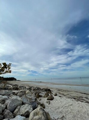 Beach nearby - Gorgeous Home w/ Huge Salt-Water POOL & SPA (Tampa)