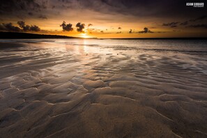 Beach - Footsteps to the dunes - Hot Tub - Pet friendly (Hayle)