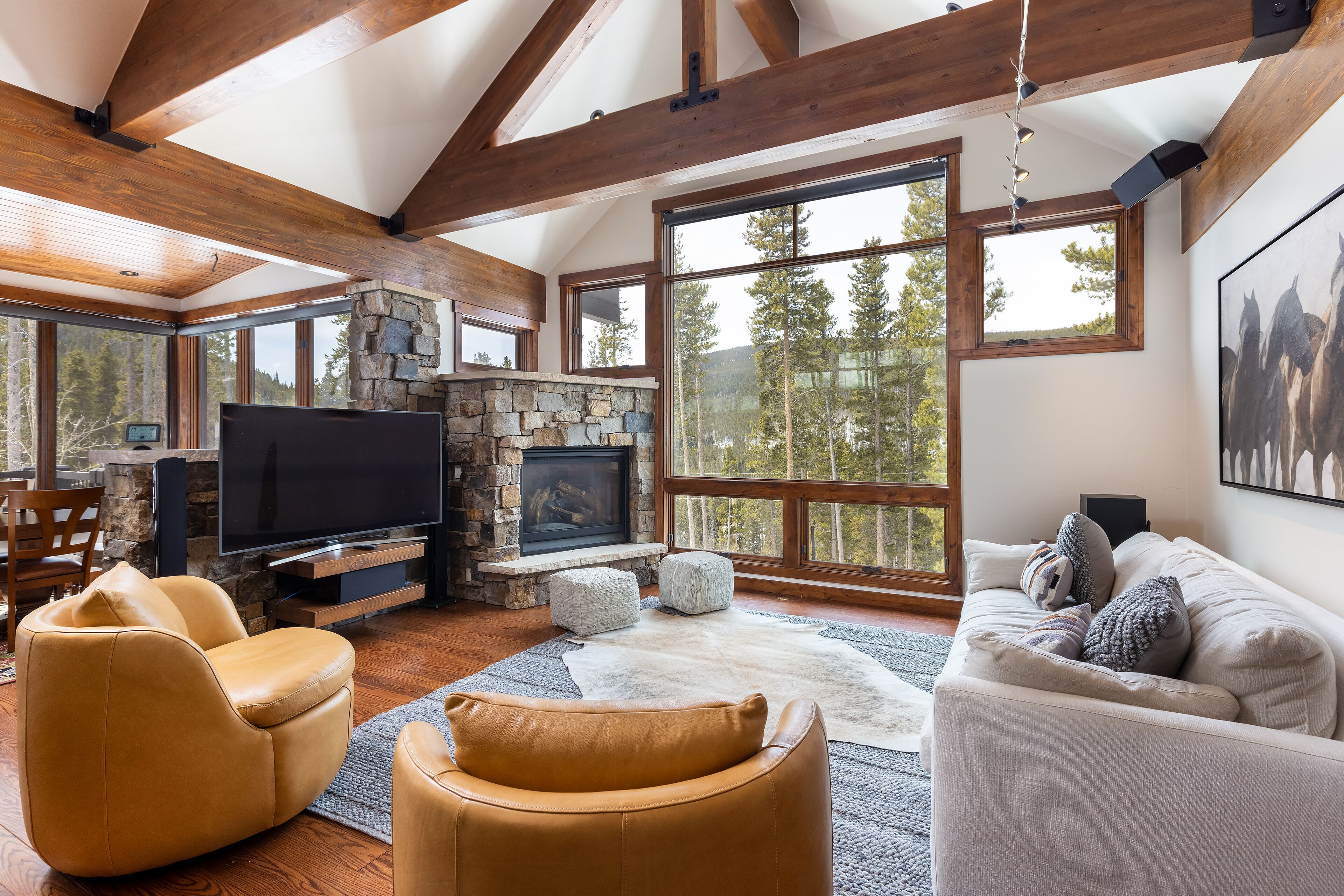 Smart-TV, Kamin, Videospielkonsole, DVD-Player