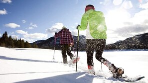 Sneeuw- en skisporten