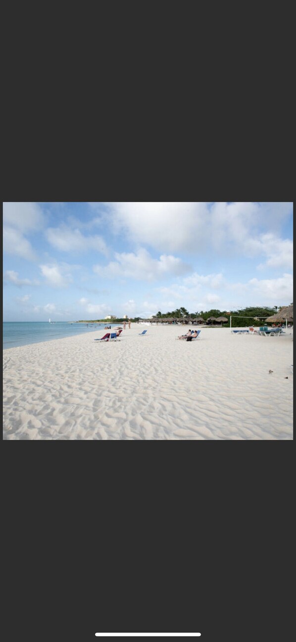 Beach - Deep Discounted Oceanfront Top-Rated Beach in the World in Aruba (Oranjestad)