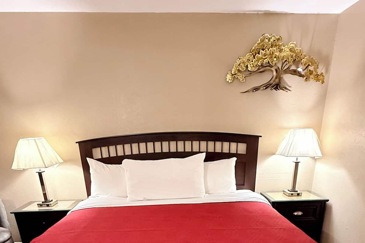 Habitación individual estándar, 1 cama King size, para no fumadores, refrigerador y microondas | Sábanas de algodón egipcio y ropa de cama de alta calidad