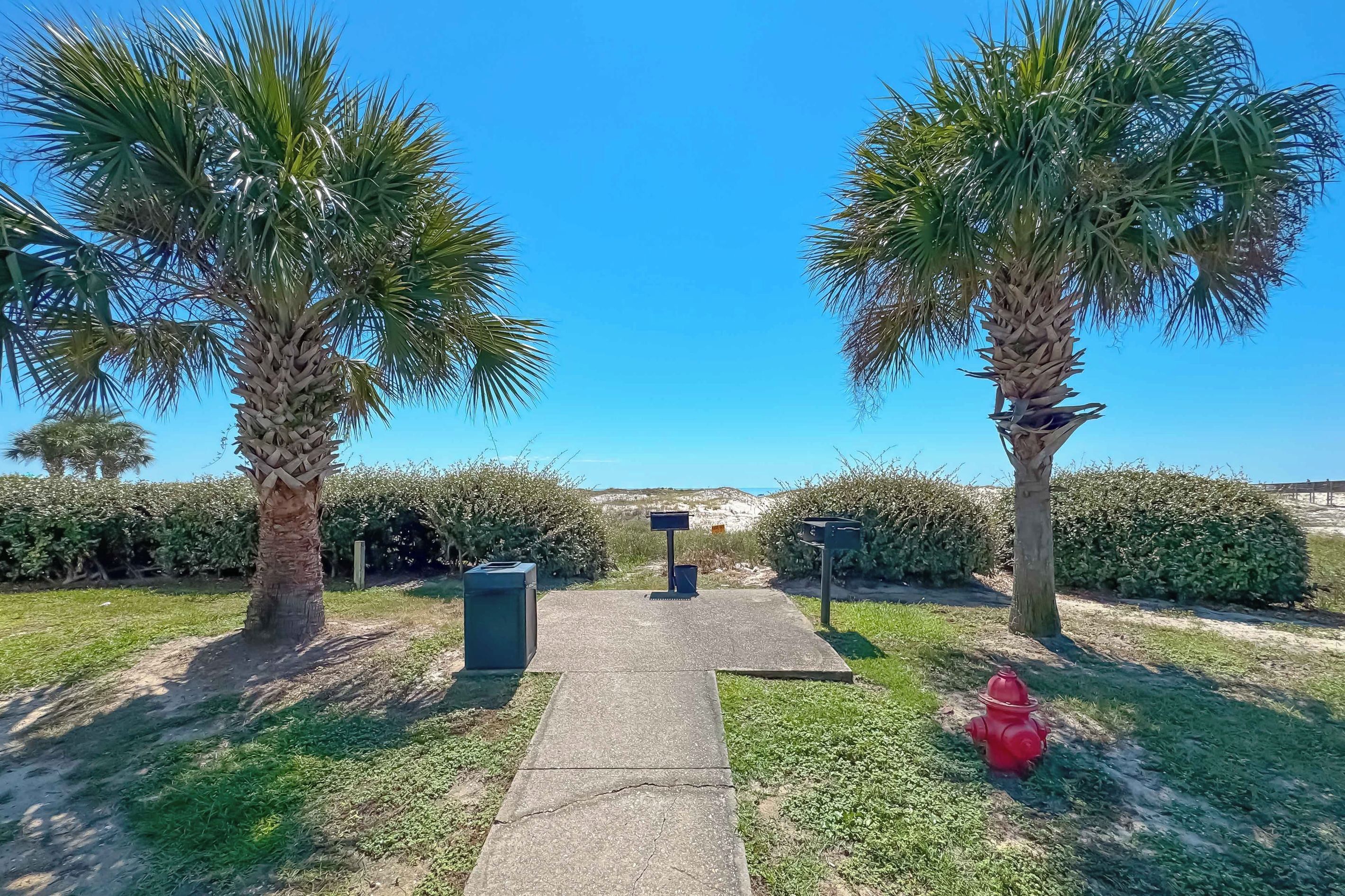 A pathway leading to a building with a clear sky, palm trees, and a red fire hydrant.
