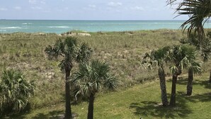 A view of a grassy area with palm trees and a beach in the background. - OCEANFRONT 2 BR CONDO! PANORAMIC OCEAN VIEWS FROM LIVING ROOM AND BEDROOMS  (Fort Pierce)