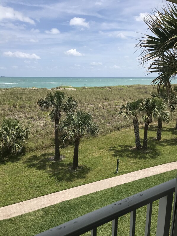 Blick auf eine Wiese mit Palmen und einen Strand im Hintergrund.