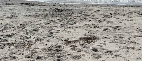 Ubicación cercana a la playa, tumbonas y toallas de playa