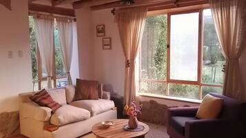 Una Smart TV, un reproductor de DVD, libros, un reproductor estéreo