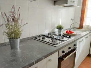 Fridge, oven, stovetop, dishwasher