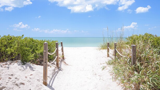 A sandy beach path leading to the ocean, surrounded by greenery and wooden posts. - Oceanfront Bonita Beach Condo w/ Pool Access! (Bonita Springs)