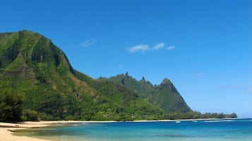 Beach nearby, sun-loungers, beach towels