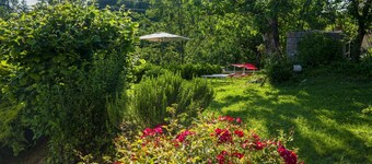 Estupenda casa de vacaciones privada con WIFI, A/C, TV, patio, mascotas permitida y aparcamiento