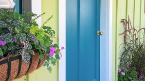 Una puerta azul con un ventanal encima, flanqueada por paredes verdes y amarillas, y una maceta colgante con flores.