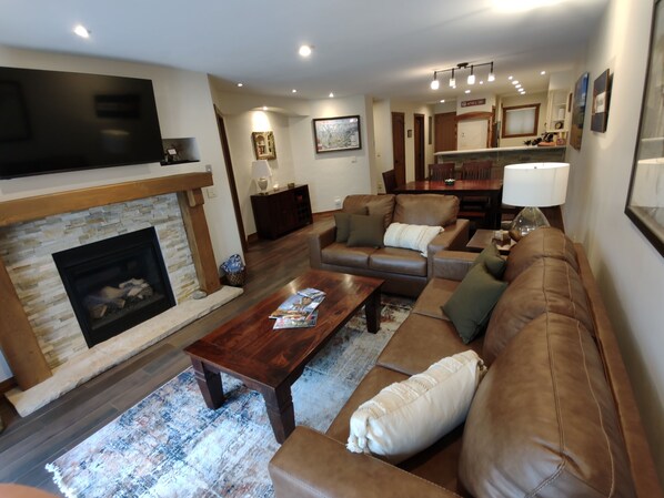 Smart TV, fireplace, DVD player, books