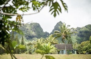 Una casa pequeña con techo de paja, rodeada de abundante vegetación y palmeras, con montañas al fondo.