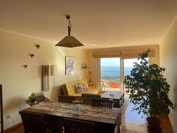 Televisio, DVD-soitin