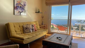 Een televisie en een dvd-speler