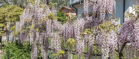 外观细节