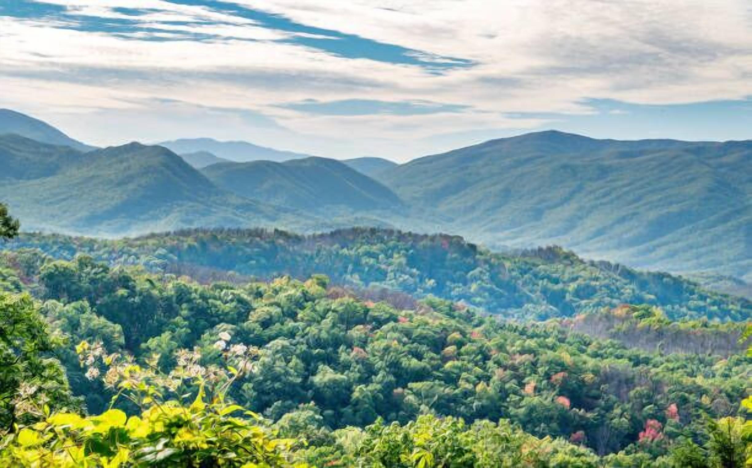 Un paysage montagneux caractérisé par une forêt dense.