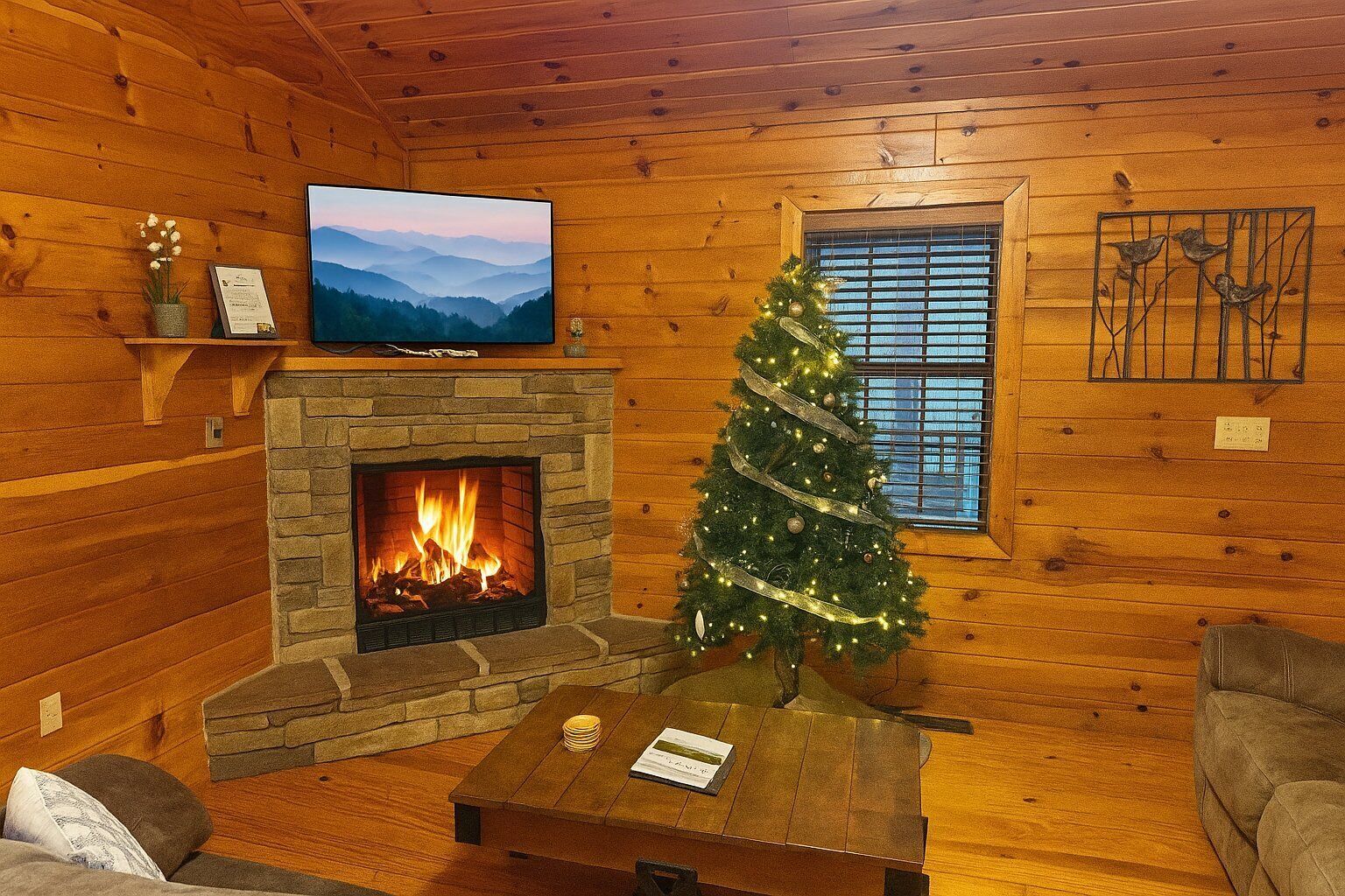Smart TV, fireplace, video library